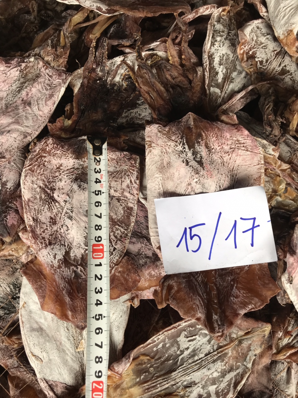 Dried Black Squid