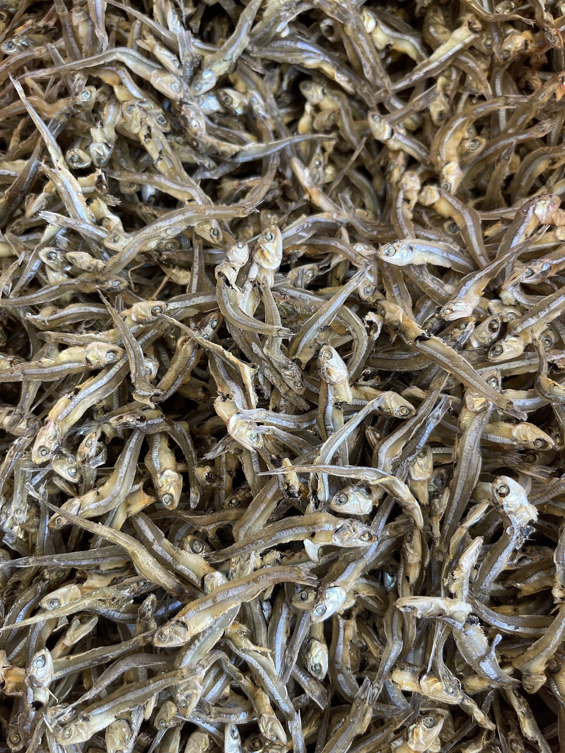 Dried Anchovy by Sunshine
