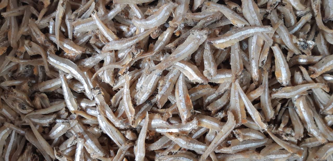 Dried Anchovy by Sunshine