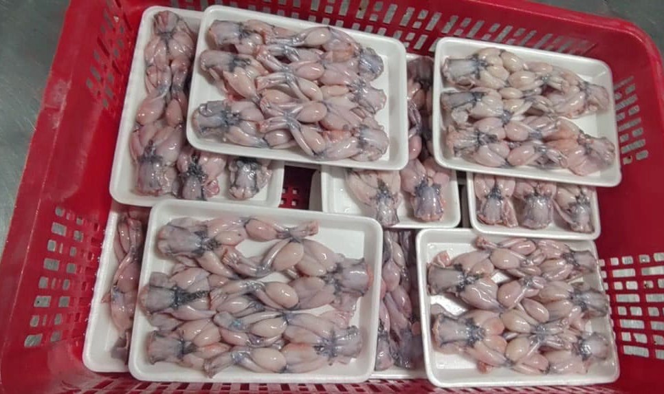 Frozen Frog Legs