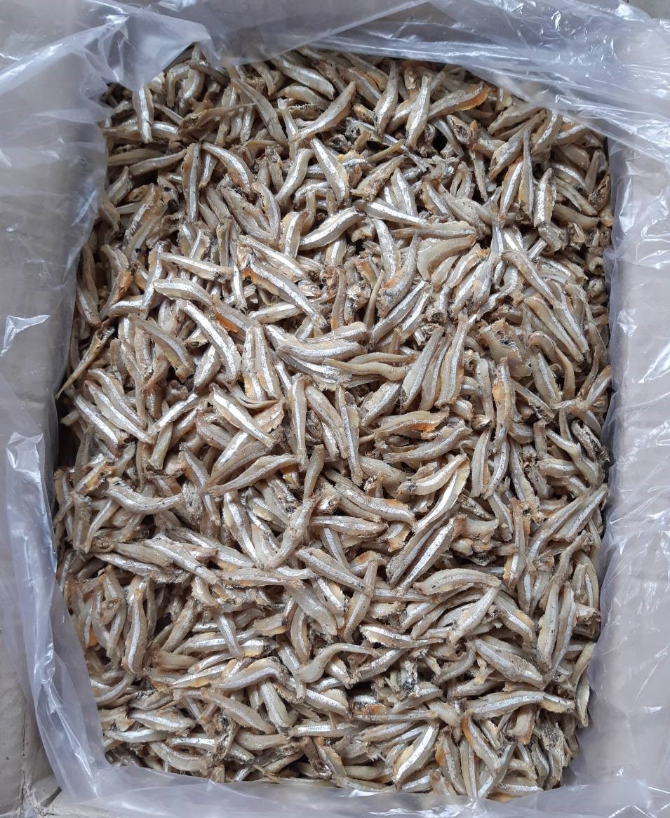 Dried Anchovy by Sunshine
