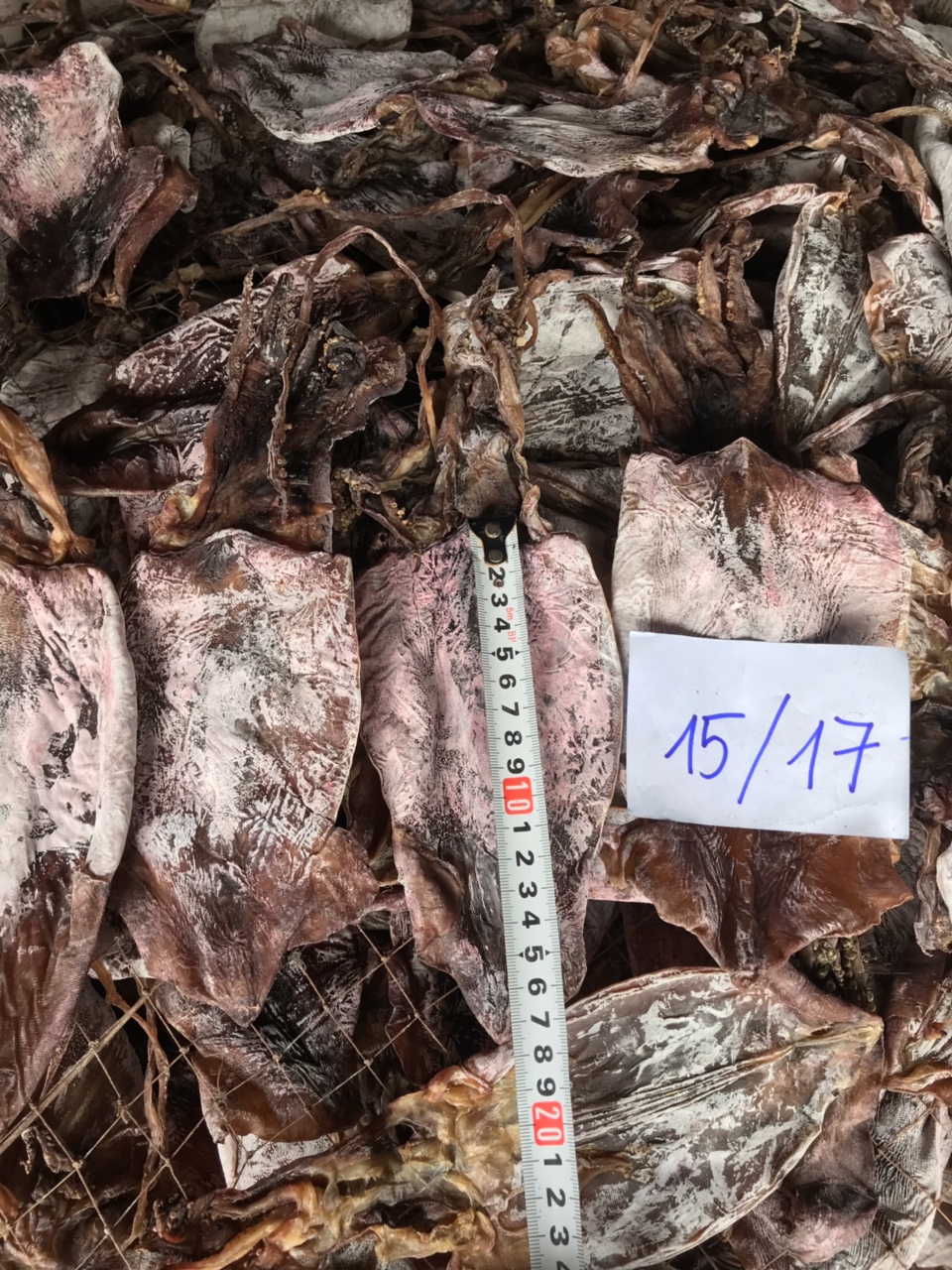 Dried Black Squid