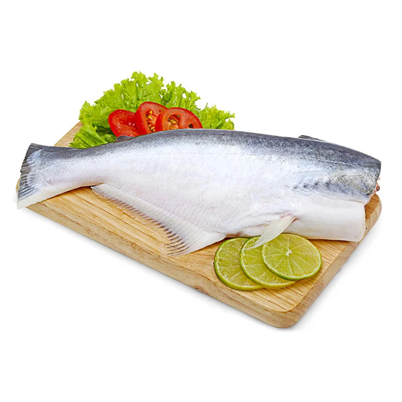 Basa / Bacha