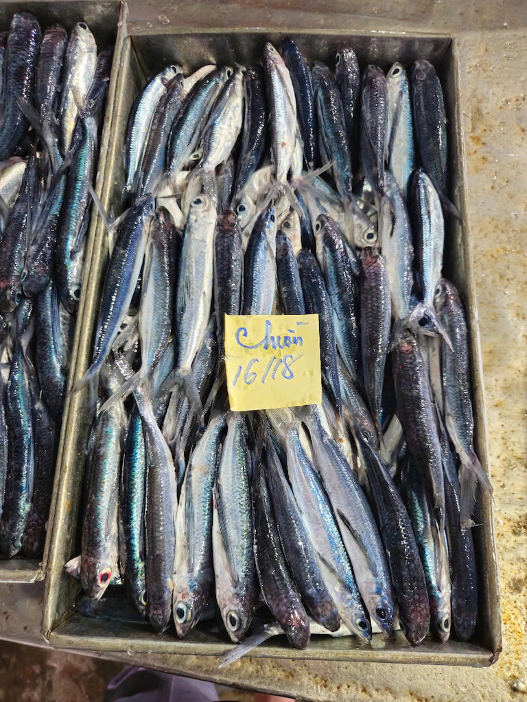 Flying Fish
