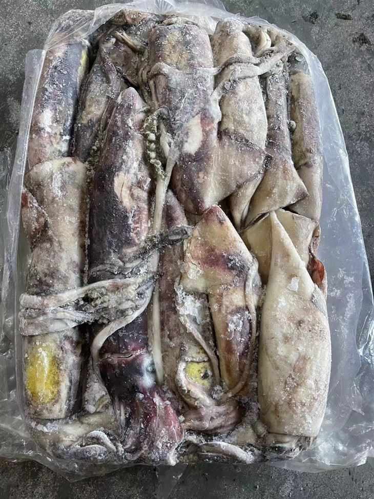 Black squid