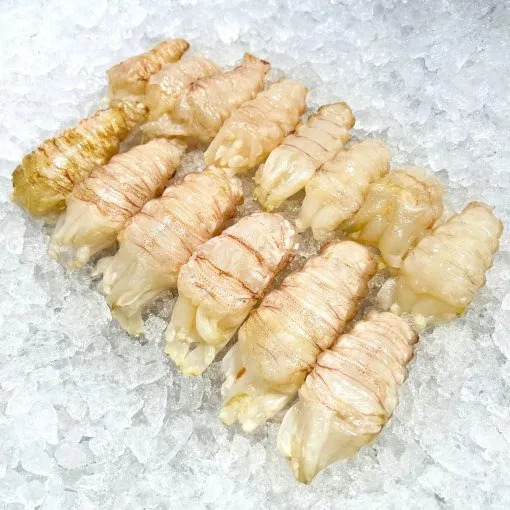 Slipper Lobster