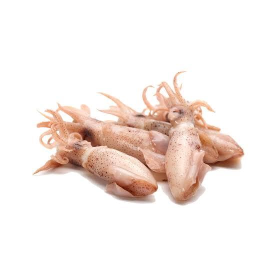 Baby squid