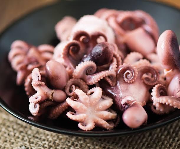 Baby octopus
