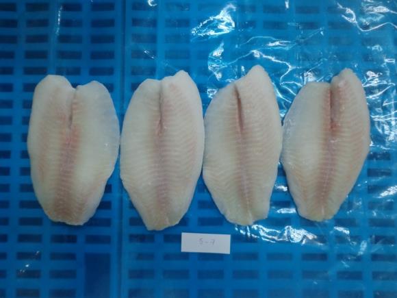 Black tilapia fillet