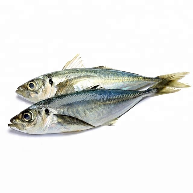 Round scad