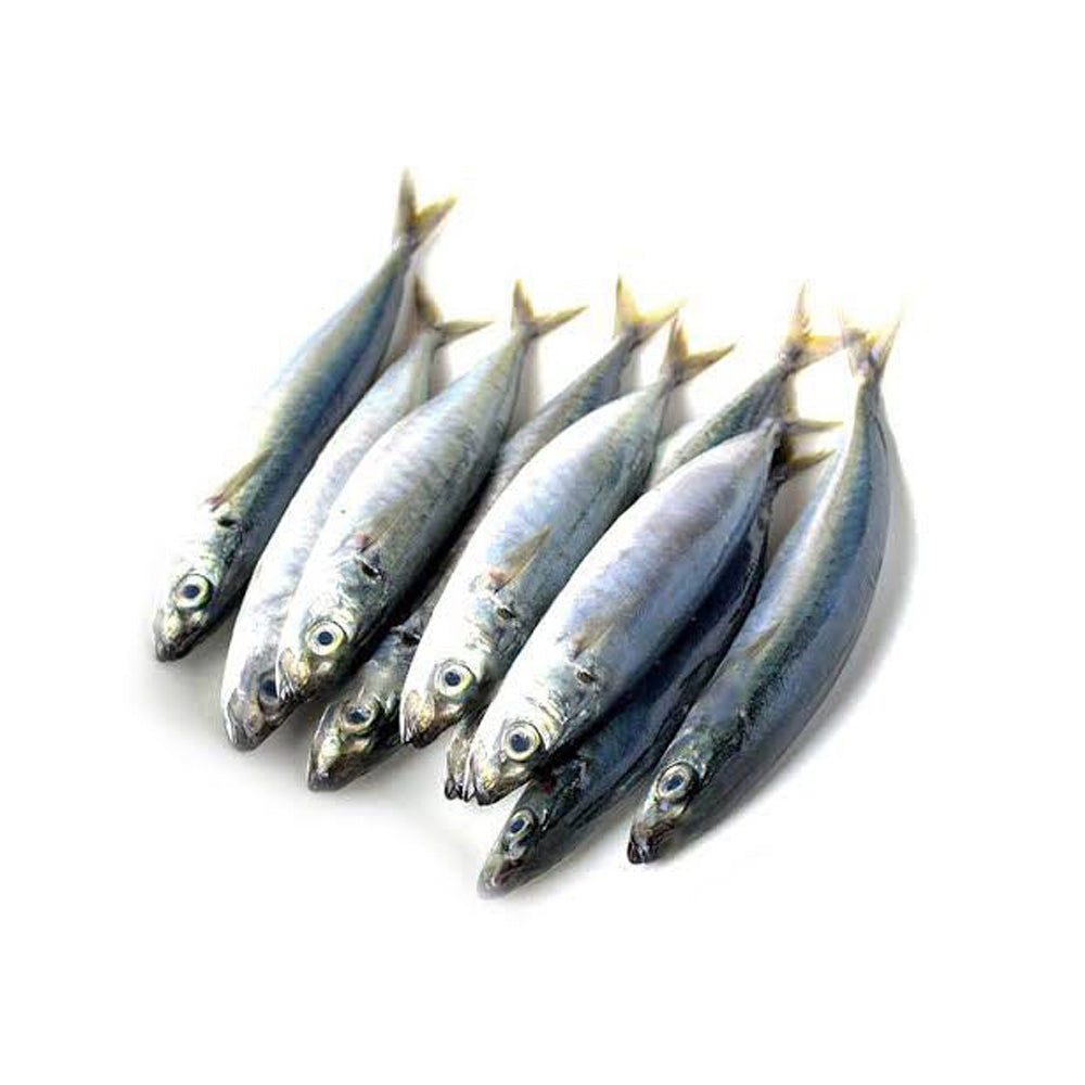 Round scad