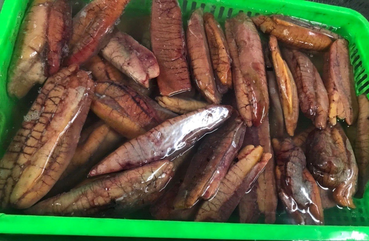 Frozen Skipjack tuna Roe