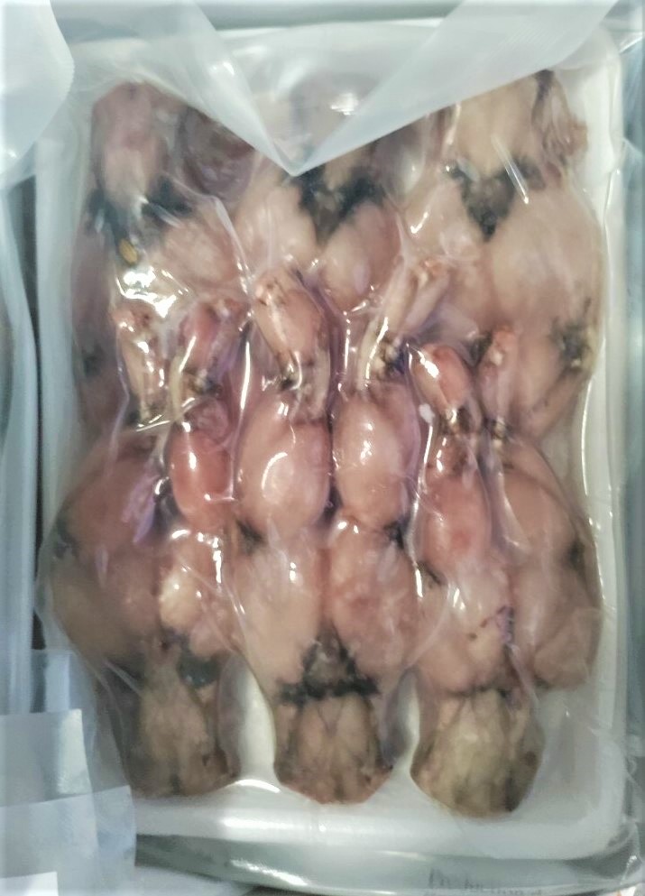 Frozen Frog Legs