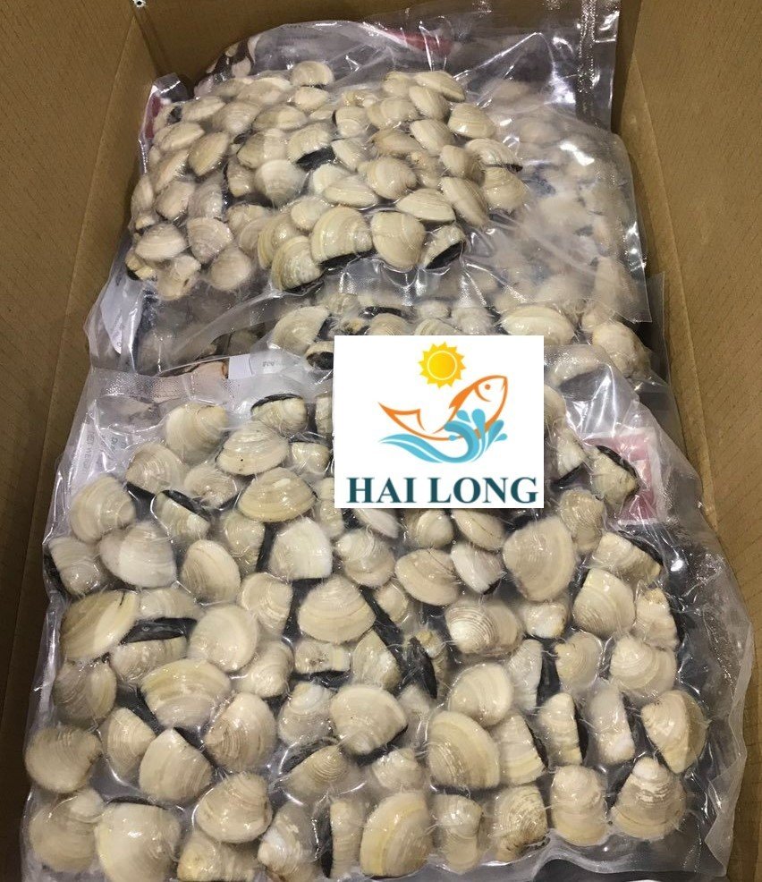 Frozen White Clam