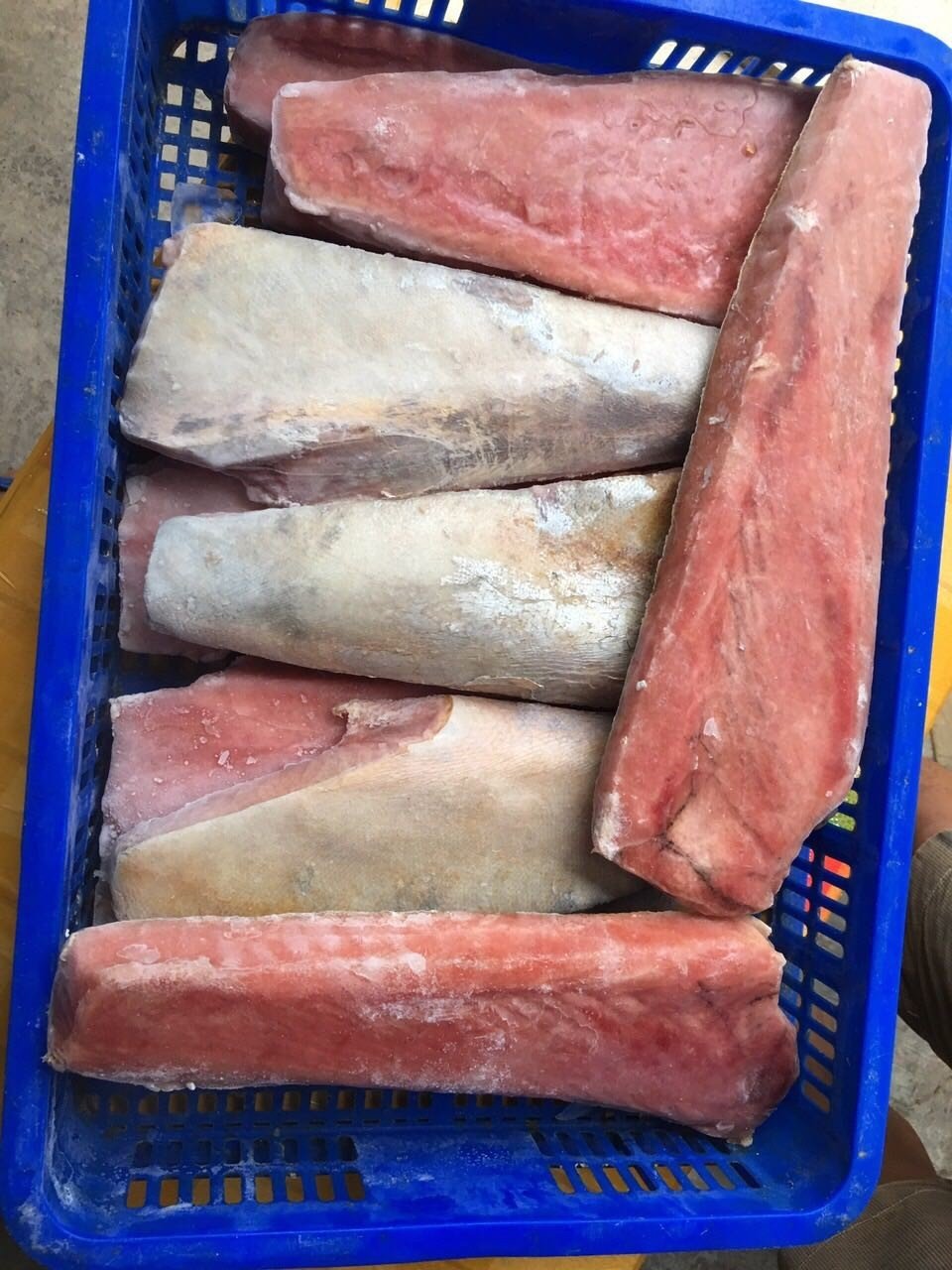 Frozen Yellowfin Tuna Belly